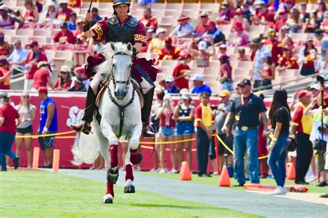 The Traveler: A Closer Look at USC's Iconic Equestrian Mascot